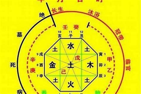 免費八字排盤喜用神|五行喜用神免費查詢器